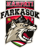 Karpati Farkasok
