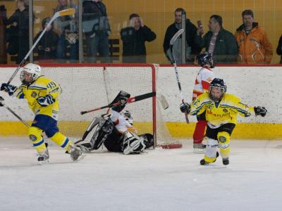 Finálové turnaje EMHL 2010/2011